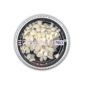 Excellent PRO Deco Dry Flowers 50pcs 004